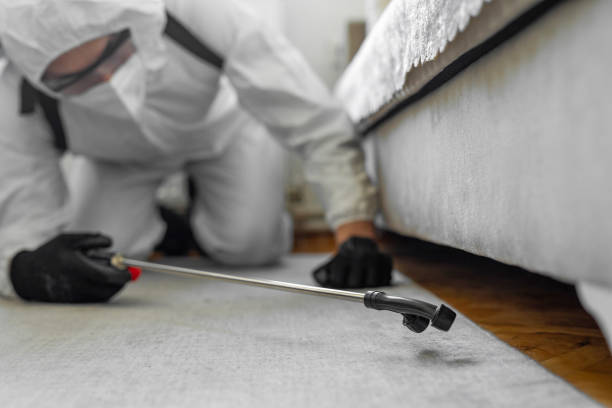 Professional Bed Bug Control technician working in Mount Vernon, NY