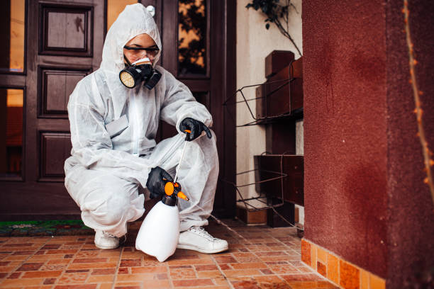 Reliable Bed Bug Control contractor in Mount Vernon, NY by Nex Pest Control