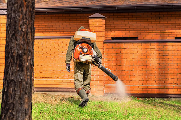 Trusted Cockroach Control service in Mount Vernon, NY - Nex Pest Control